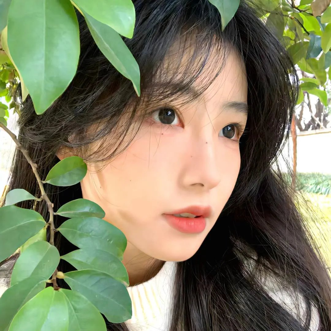 合众秩序