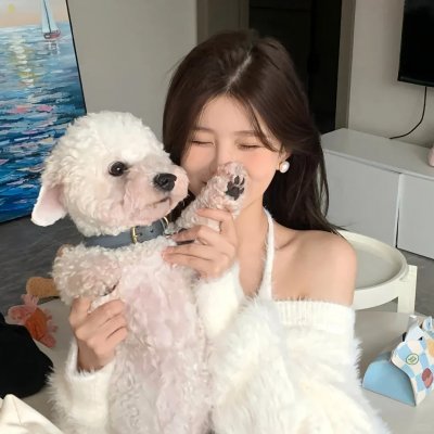 波普先生的企鹅